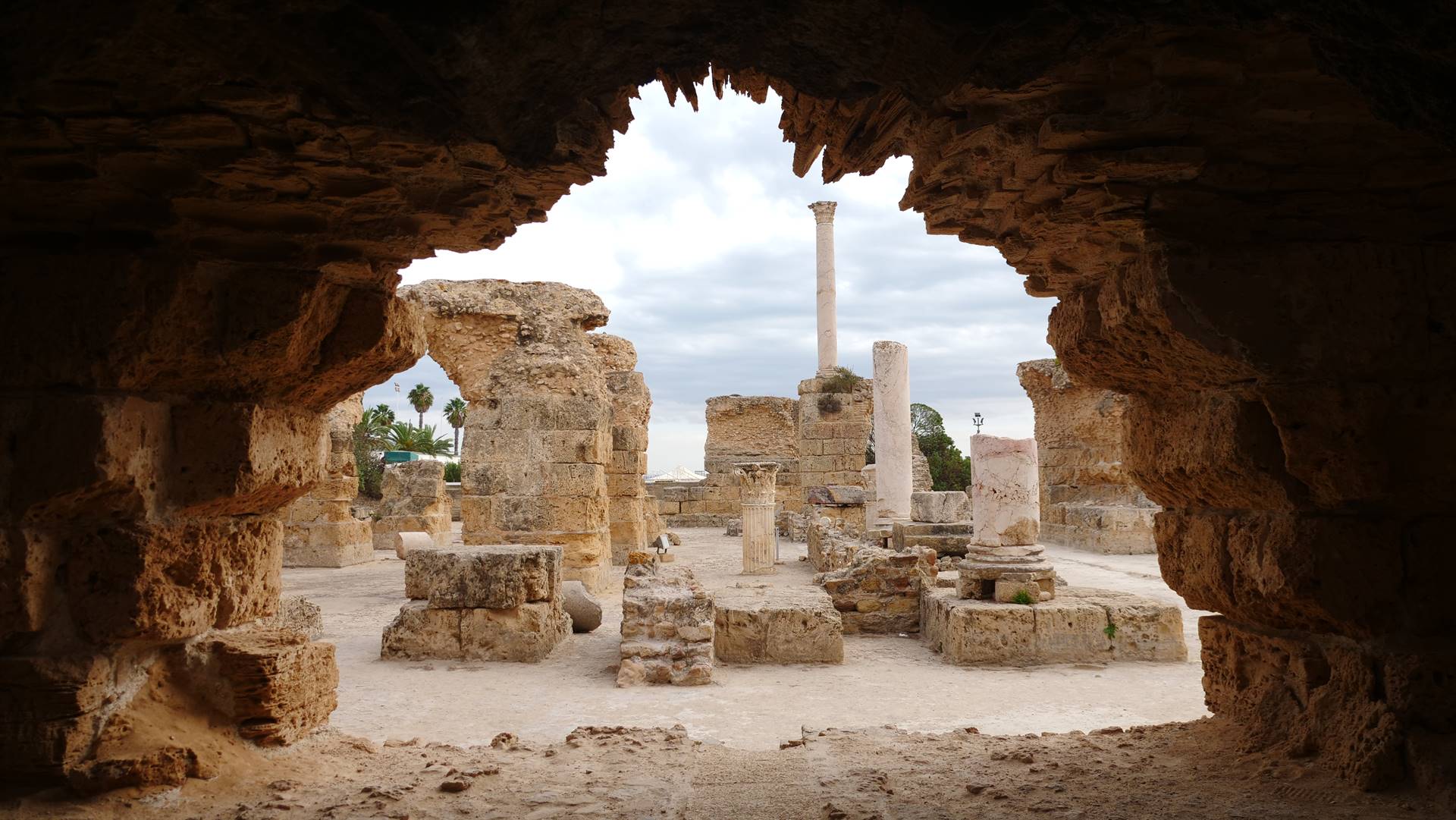 Découverte de Carthage